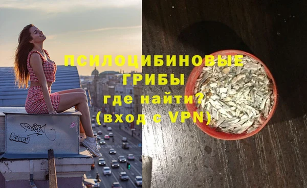 твердый Алексин