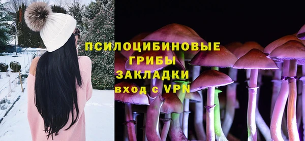 твердый Алексин