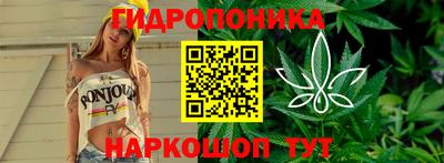 крисы Балаково