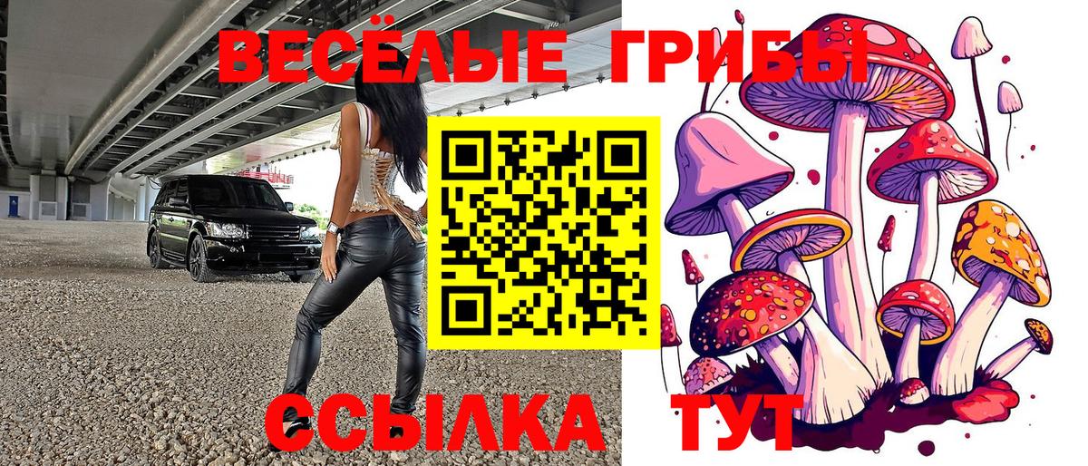 Галлюциногенные грибы прущие грибы Дедовск